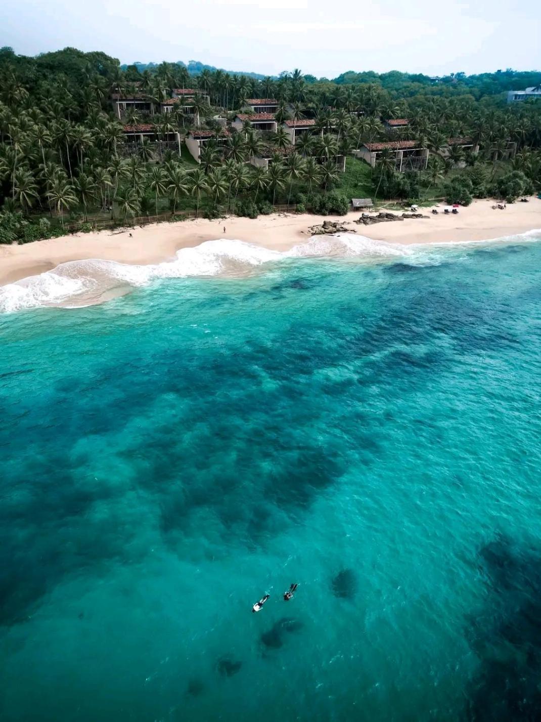 Kavidi Tangalle